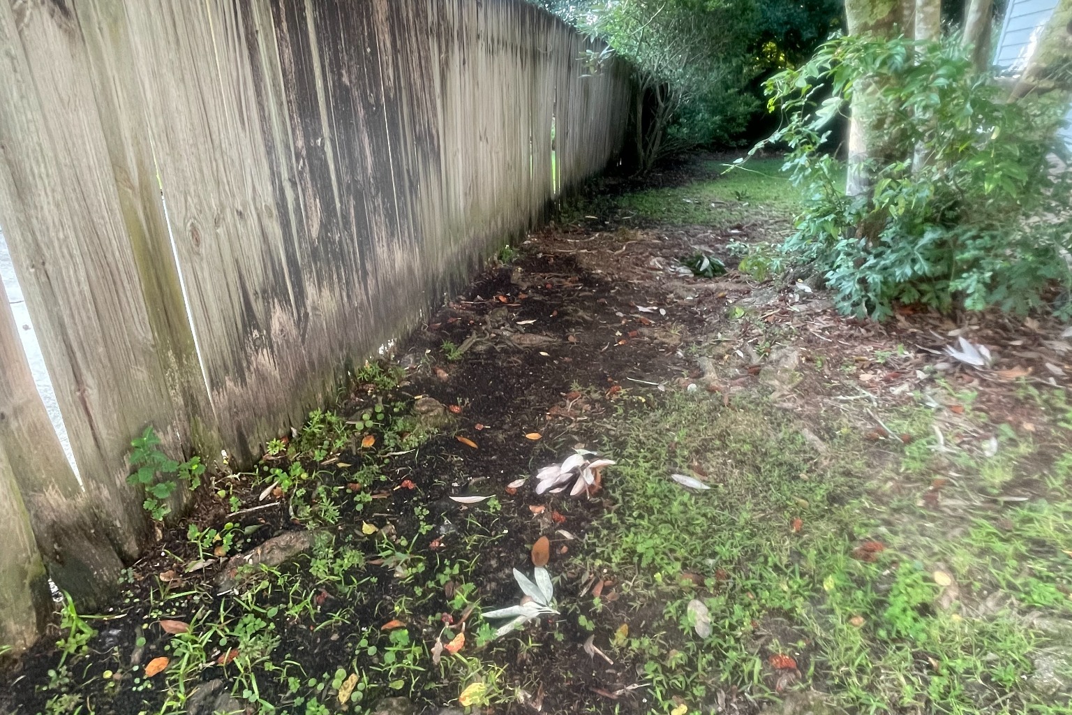 Damaged pine privacy fence with leaning posts and rotted boards requiring replacement